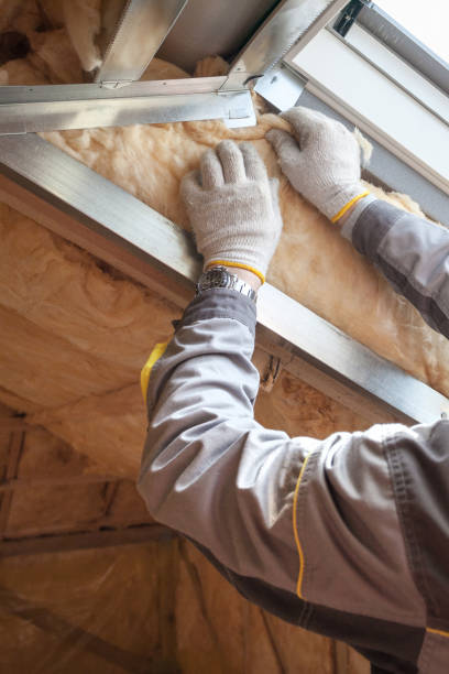 Types of Insulation We Offer in Farmville, VA