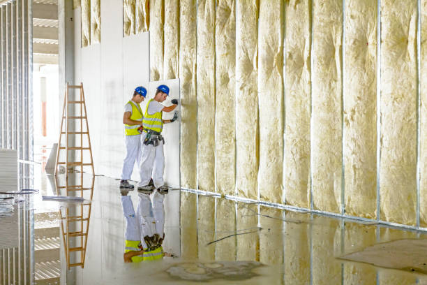 Best Fiberglass Insulation in Farmville, VA